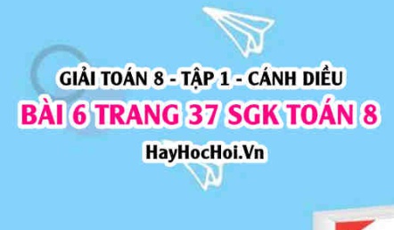 Giải bài 6 trang 37 Toán 8 Tập 1 SGK Cánh Diều